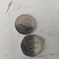 دوعدد سکه قیمت تفاوقی