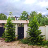 ویلا نوساز/۵۰۰ متری/مبله/ سند دار|فروش خانه و ویلا|فومن, |دیوار