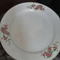بشقاب گل سرخ|ظروف سرو و پذیرایی|شیراز, پودنک|دیوار