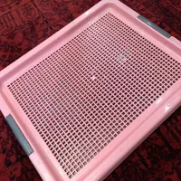 وسایل سگ ( سینی ادرار ، ادکلن ، بالم )|لوازم جانبی حیوانات|رشت, گلسار|دیوار