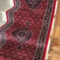فرش راه پله|فرش|اردبیل, |دیوار