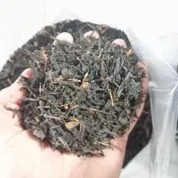 چای گیلان
