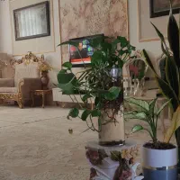 یک واحد آپارتمان میرحسینی