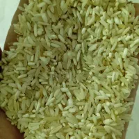 فجر سوزنی میان باری