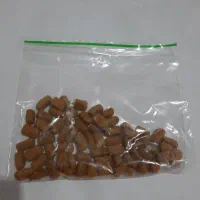 گرینچیک سخنگو|پرنده|مشهد, کوشش|دیوار