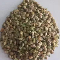 تخم یونجه لری درج یک