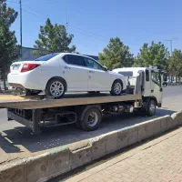 دنا آپشنال خشک تحویل روز