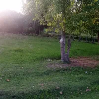 فروش-زمین-مسکونی-در-رشت