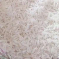 سلام 270کیلوبرنج طارم دم سیاه|خوردنی و آشامیدنی|آق قلا, |دیوار