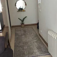 فرش ۹ متری نو نو همراه فرش راهرو ۳ متر نو نو|فرش|برخوار, |دیوار