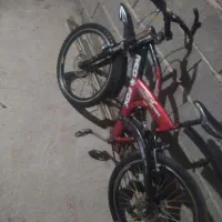 دوچرخه ردفوکس