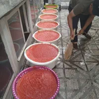 ابگیری گوجه آب گیری گوجه ابگیری انگور