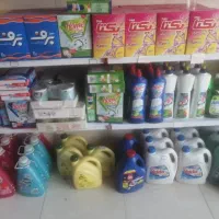 شوینده بهداشتی|مواد شوینده و دستمال کاغذی|کازرون, |دیوار