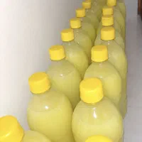پخش ابلیمو