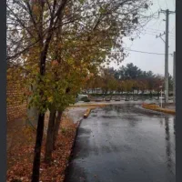 زمین-شمالی-گلدیس