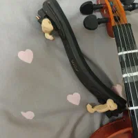 ساز موسیقی|ویولن|اراک, |دیوار