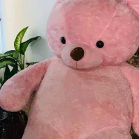 خرس ۲ متری نو نو