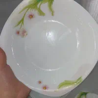 ارکوپال phoenix