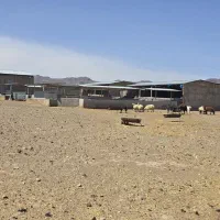 فروش دامداری ۵۰۰۰ متری نوساز|فروش زمین و ملک کلنگی|نطنز, |دیوار