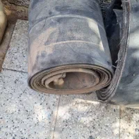 منجیت. شلگیر