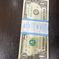 یک دلاری کلکسیونی