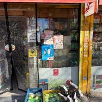 کارگر ساده سوپرمارکت