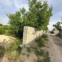 زمین 250متری به بالا باسند تکبرگ|فروش زمین و ملک کلنگی|شاهدشهر, |دیوار