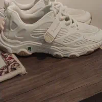 کتانی اسپرت نونو