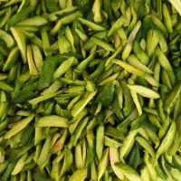 انواع اجیل پسته .