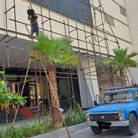 اجاره و نصب داربست فلزی چهار پایه ( تحته کار )|خدمات پیشه و مهارت|بندرعباس, |دیوار