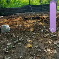 فروش خاک باغچه کود حیوانی خاک برگ....|خدمات باغبانی و درختکاری|چاف و چمخاله, |دیوار