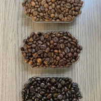 پخش عمده قهوه (پرداخت در محل + تستر ۱۰۰ گرمی)