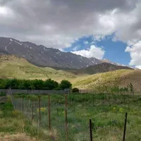 فروش باغچه ۵۶۲ متری ارجمند روستای نجفدر|فروش زمین و ملک کلنگی|ارجمند, |دیوار