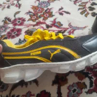 کفش ورزشی سایز ۴۲