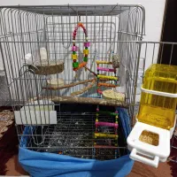 قفس سالم|لوازم جانبی حیوانات|همدان, |دیوار