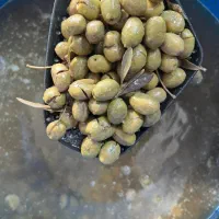 زیتون و رب انار  خالص خانگی