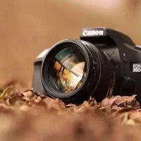 خانم آشنا به عکاسی و فتوشاپ