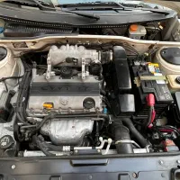 دنا معمولی تیپ 2