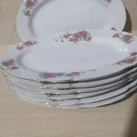 دیس کباب یا مرغ خوری گل قرمزی قدیمی|ظروف سرو و پذیرایی|اصفهان, شهشهان|دیوار
