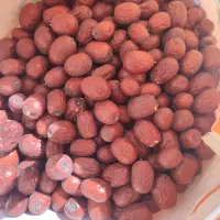 عناب تازه امسالی