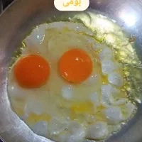 تخم مرغ محلی(رسمی) تازه و به روز از درب مرغداری