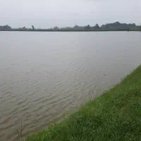 ۳۰ هکتار استخر ماهی کنار جاده ماسوله فروش متری ۷۵۰|فروش دفتر صنعتی، کشاورزی، تجاری|دماوند, دماوند|دیوار