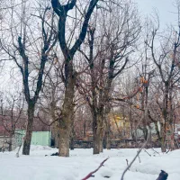 فشم-ویلا-زیر-قیمت-1800متر