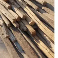 تعدادی چوب سپیداری و چوب بنایی