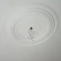 گچکاری ساختمان