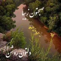 گوشی پیداشده