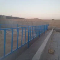 گاو-داری-دامشهر