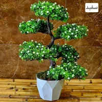 درختچه بنسای مصنوعی ۶ کپه ارتفاع کامل ۵۰سانت|گل مصنوعی|قم, باجک یک|دیوار