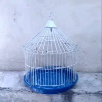 قفس پرنده سهره خاکی لونه مرغ عشق