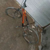 دوچرخه۲۶|دوچرخه، اسکیت، اسکوتر|قیدار, |دیوار